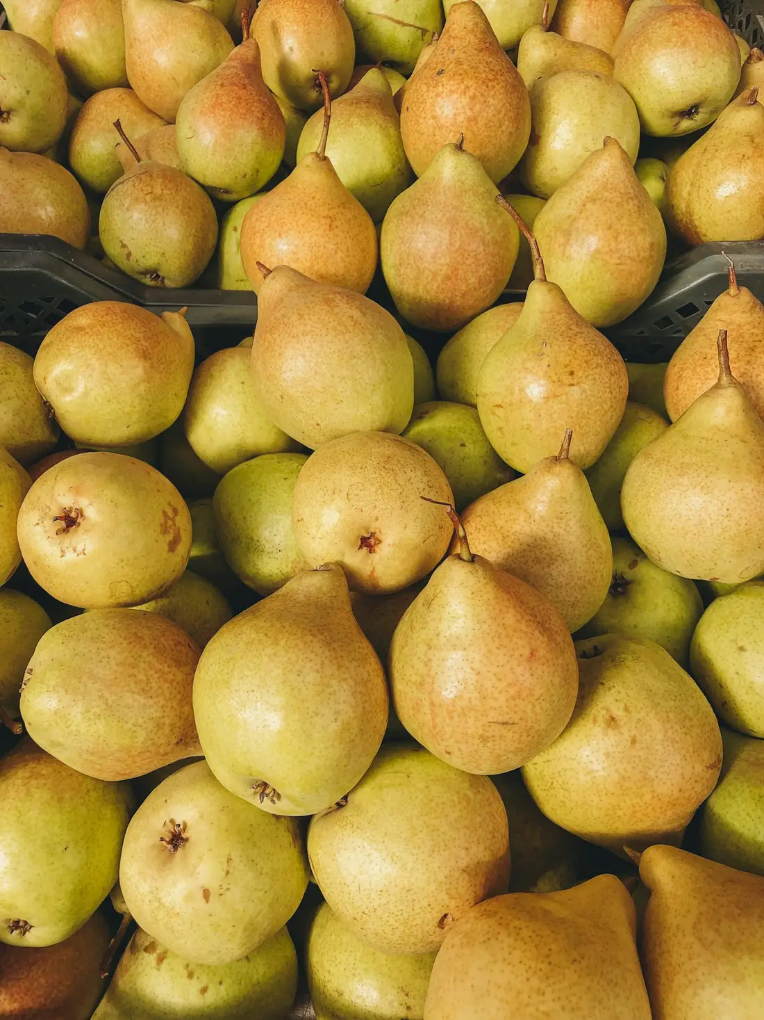 Imagem ilustrativa: compota de pera com canela sem açúcar