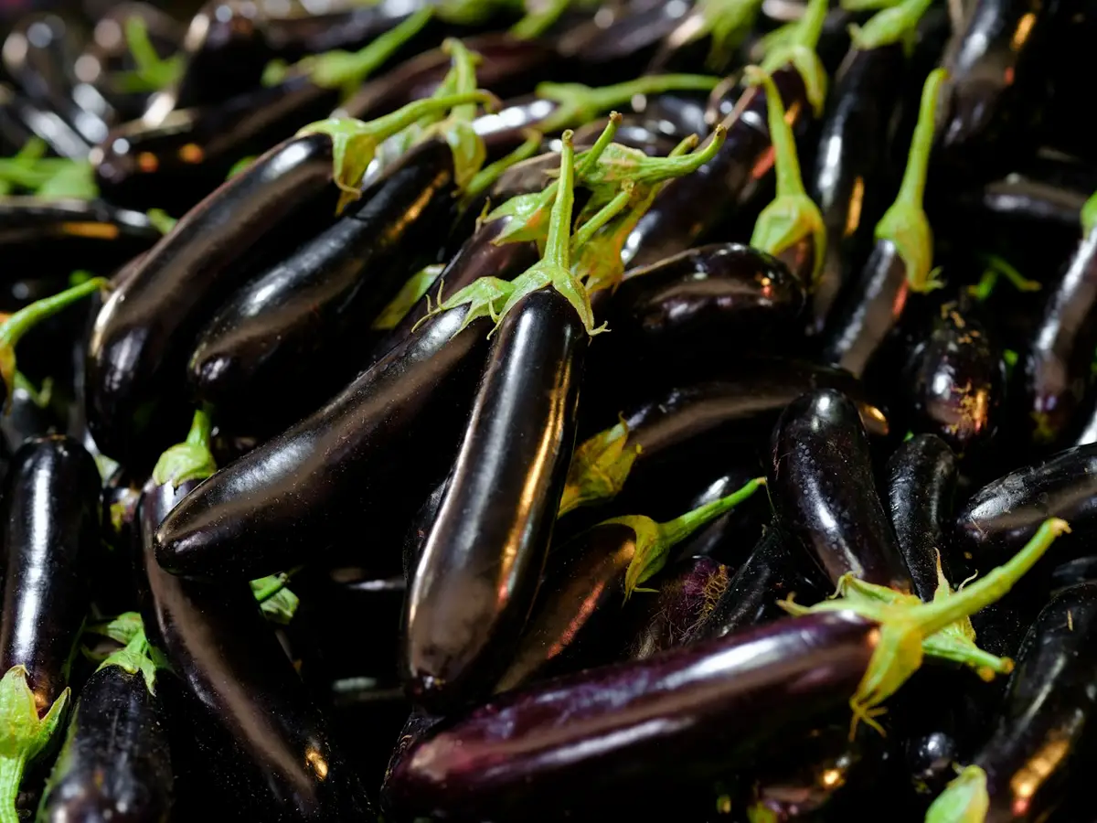 Imagem ilustrativa: caponata de berinjela no forno