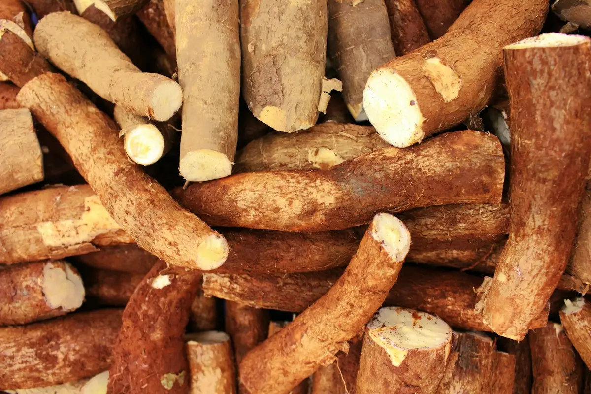 Imagem ilustrativa: mandioca na airfryer sequinha